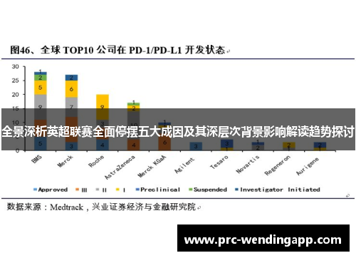 全景深析英超联赛全面停摆五大成因及其深层次背景影响解读趋势探讨