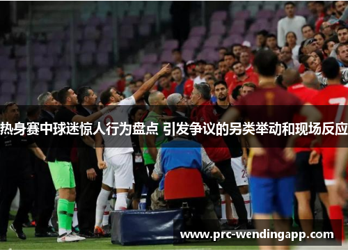 热身赛中球迷惊人行为盘点 引发争议的另类举动和现场反应